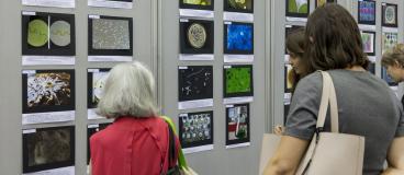 People looking at a display of microbiology photos