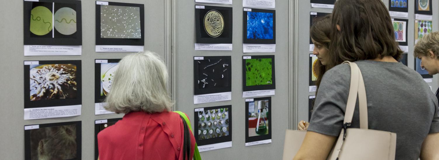 People looking at a display of microbiology photos