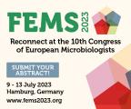 Submit your abstract to FEMS2023